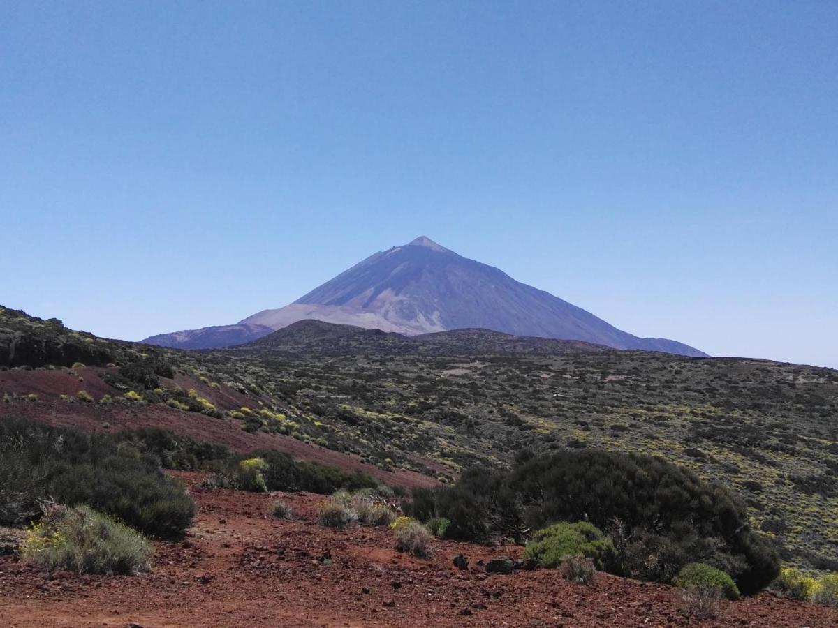 Los Diamantes Komfort Los Cristianos  Exteriér fotografie